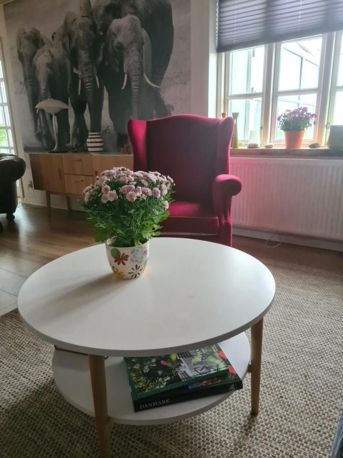 Marsvinslund Bed And Breakfast ไวบอร์ก ภายนอก รูปภาพ