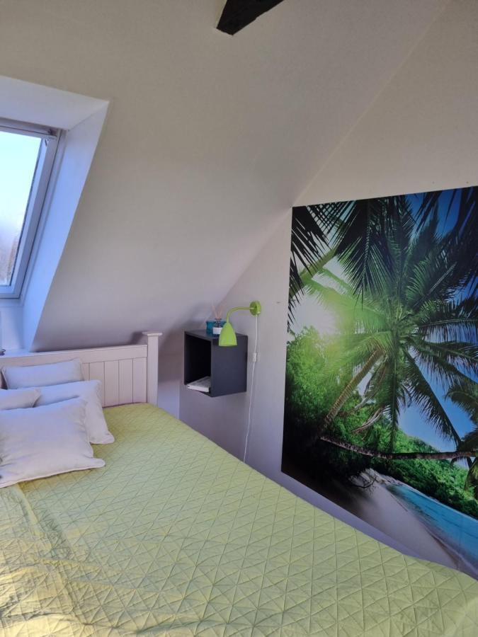 Marsvinslund Bed And Breakfast ไวบอร์ก ภายนอก รูปภาพ